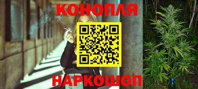 стафф Лесосибирск