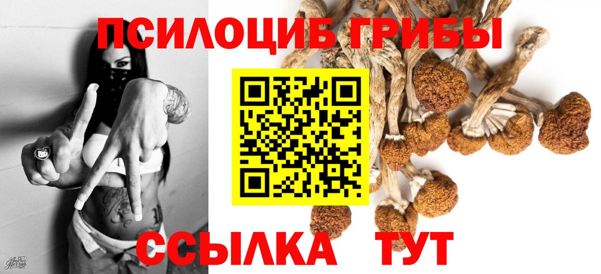 Галлюциногенные грибы мицелий Грозный