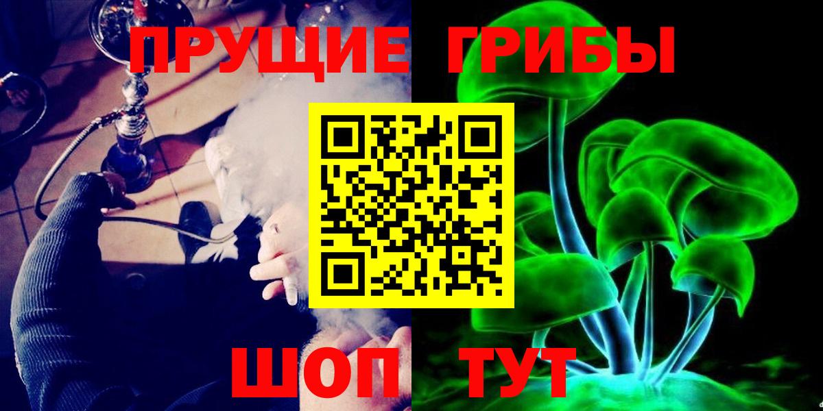 Галлюциногенные грибы GOLDEN TEACHER  Вход с VPN  Галлюциногенные грибы Psilocybe  Грозный 